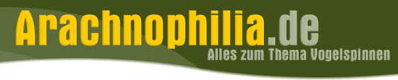 Arachnophilia