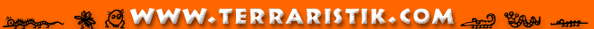 Logoterraristik