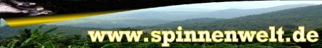spinnenwelt.jpg